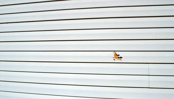 Best Aluminum Siding Installation  in Olivet, MI